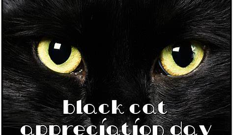 National Black Cat Appreciation Day 2022 Wishes, Messages, Greetings