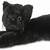black cat with green eyes stuffed animal