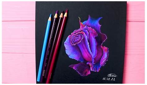 38 Awesome colored pencil drawings on black paper images Black paper