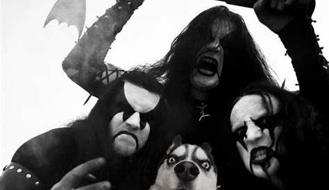 Black Metal Dog Gif , Raw, & Bleeding A Raw Roundup Last Rites