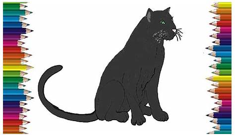 Black Panther Animal Drawing Easy Download Cartoon Clipart (112199