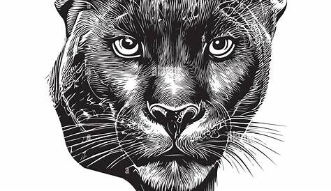 Start a size panthers 2 faces worldvinyl be stickers 608