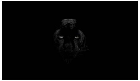 Black Panther Animal wallpaper for Android APK Download