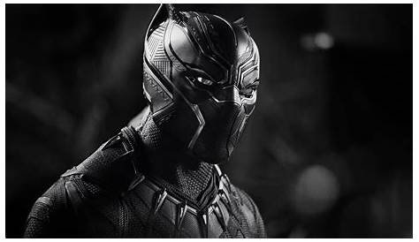 Black Panther Monochrome 4k, HD Movies, 4k Wallpapers