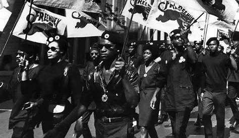 Black Panther Party History Justseeds Learn About
