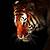 black tiger wallpaper hd 1080p