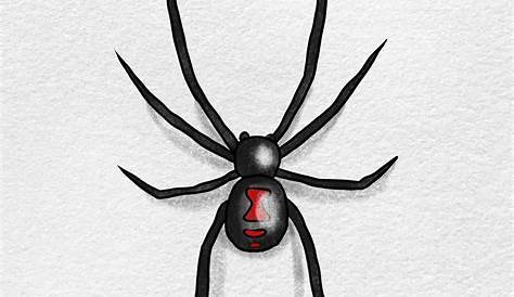 Black Widow Spider Drawing Easy , Free Transparent Clipart