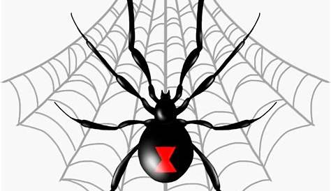 "Black Widow Spider Web" Sticker by ratshitcrazy Redbubble