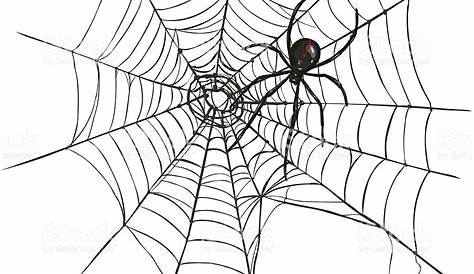 Black Widow Spider Web Drawing Swirly And ,