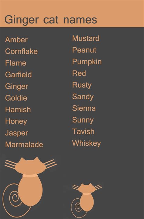 black and ginger cat names