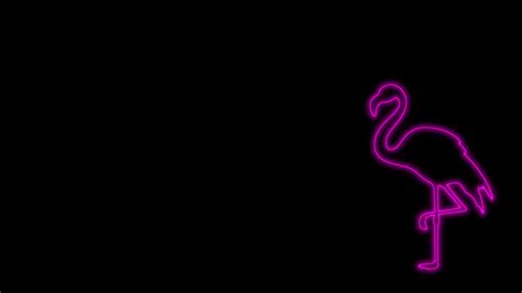 black and neon pink wallpapers 4k