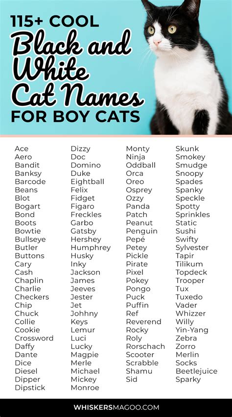 black and white cat names funny