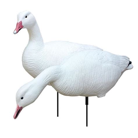 black and white goose decoys