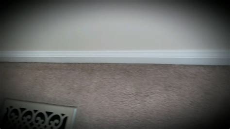 Black Around Carpet Edges