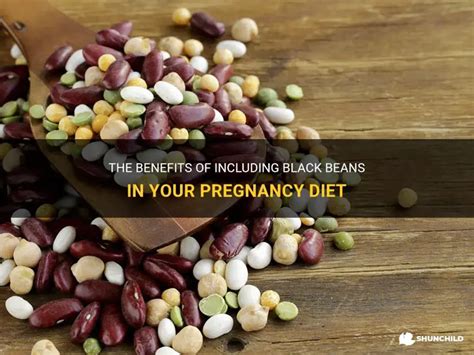 Black Beans Pregnancy