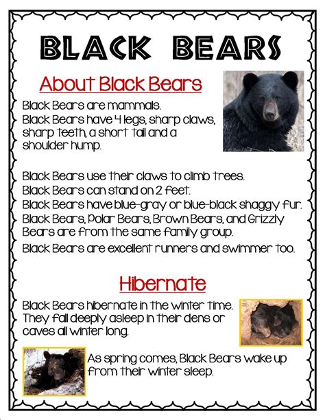 Black Bear Printable Booklet