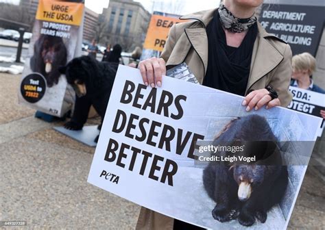 Black Bear Protest Device