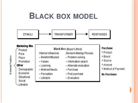 black box model