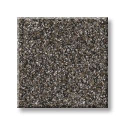 Black Carpet Menards