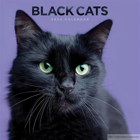 black cat calendar 2024