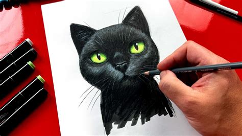 black cat directed drawing
