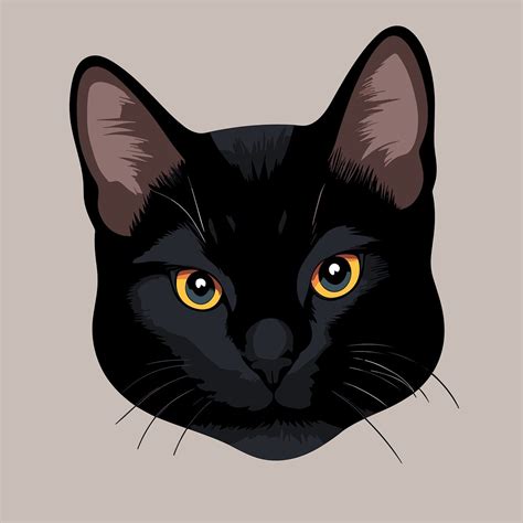 black cat drawing face