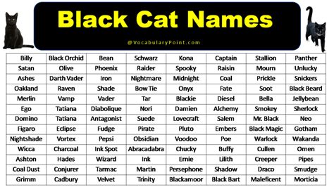 black cat names unique