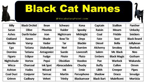 Black Cat Names With Meaning