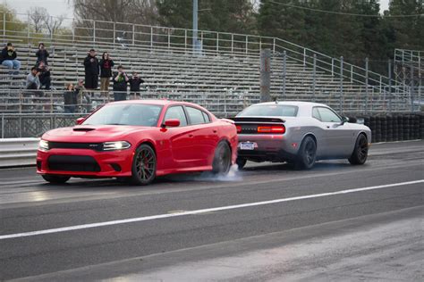 Black Cat Vs Hellcat