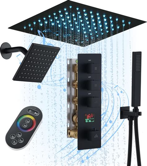 Black Ceiling Mounted Rain Shower Head