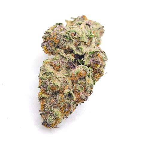 Black Cherry Guava Strain