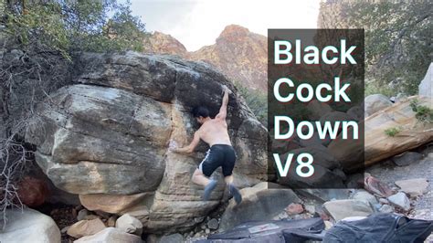 black cock down
