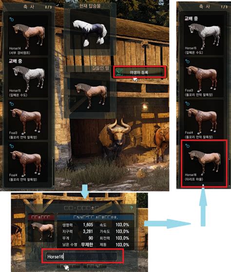 black desert online horse breeding guide