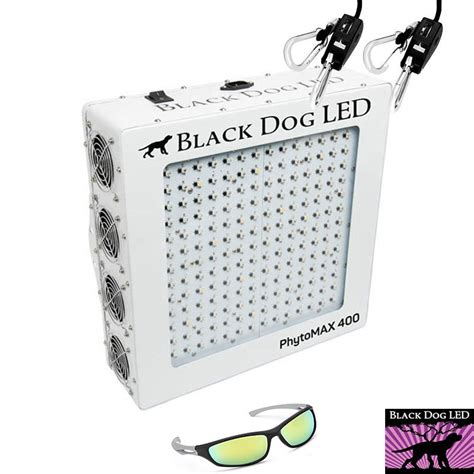 black dog led lights amazon