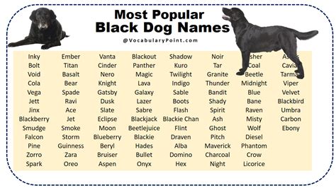 black dog names with meaning