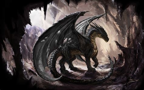 Black Dragon Background