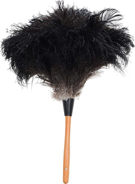 Black Feather Duster Images