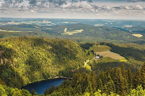 Black Forest Park Near Me