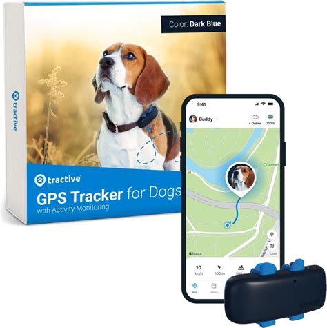 black gps dog