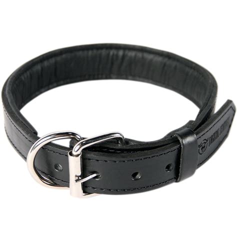 black leather dog collar and leash