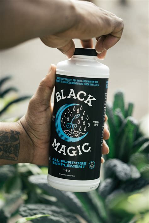 black magic supplement reviews