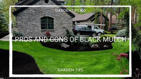 Black Mulch Alternatives
