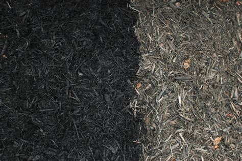 Black Mulch Rain