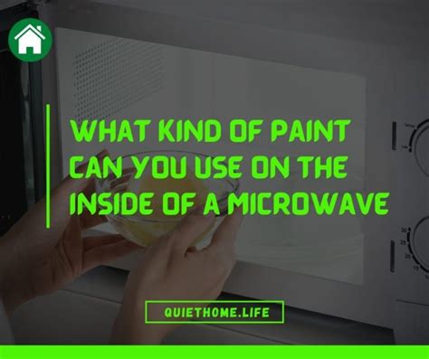 Black Paint For Inside Microwave