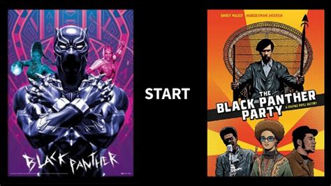 black panthers 4