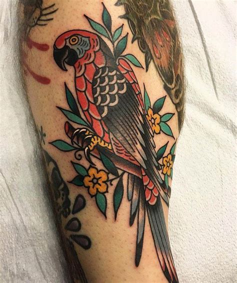 60 Parrot Tattoo Designs For Men Mimicry Ink Ideas