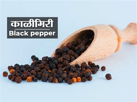 Black Pepper In Marathi