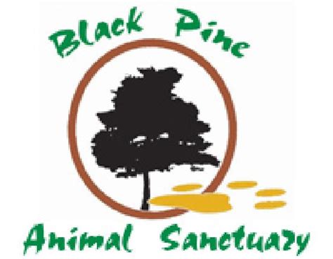 black pine animal sanctuary albion indiana