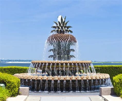 Black Pineapple Fountain