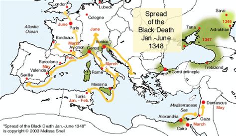 black plague in europe 1348